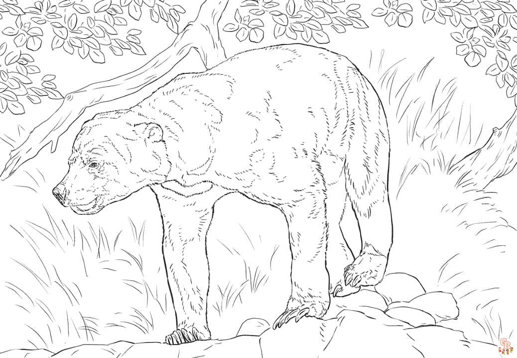 Alpine Bear Coloring Pages 7