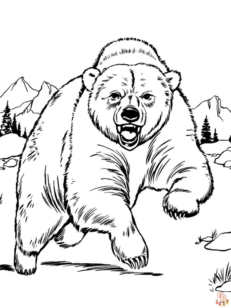 Black Bear Coloring Pages 13