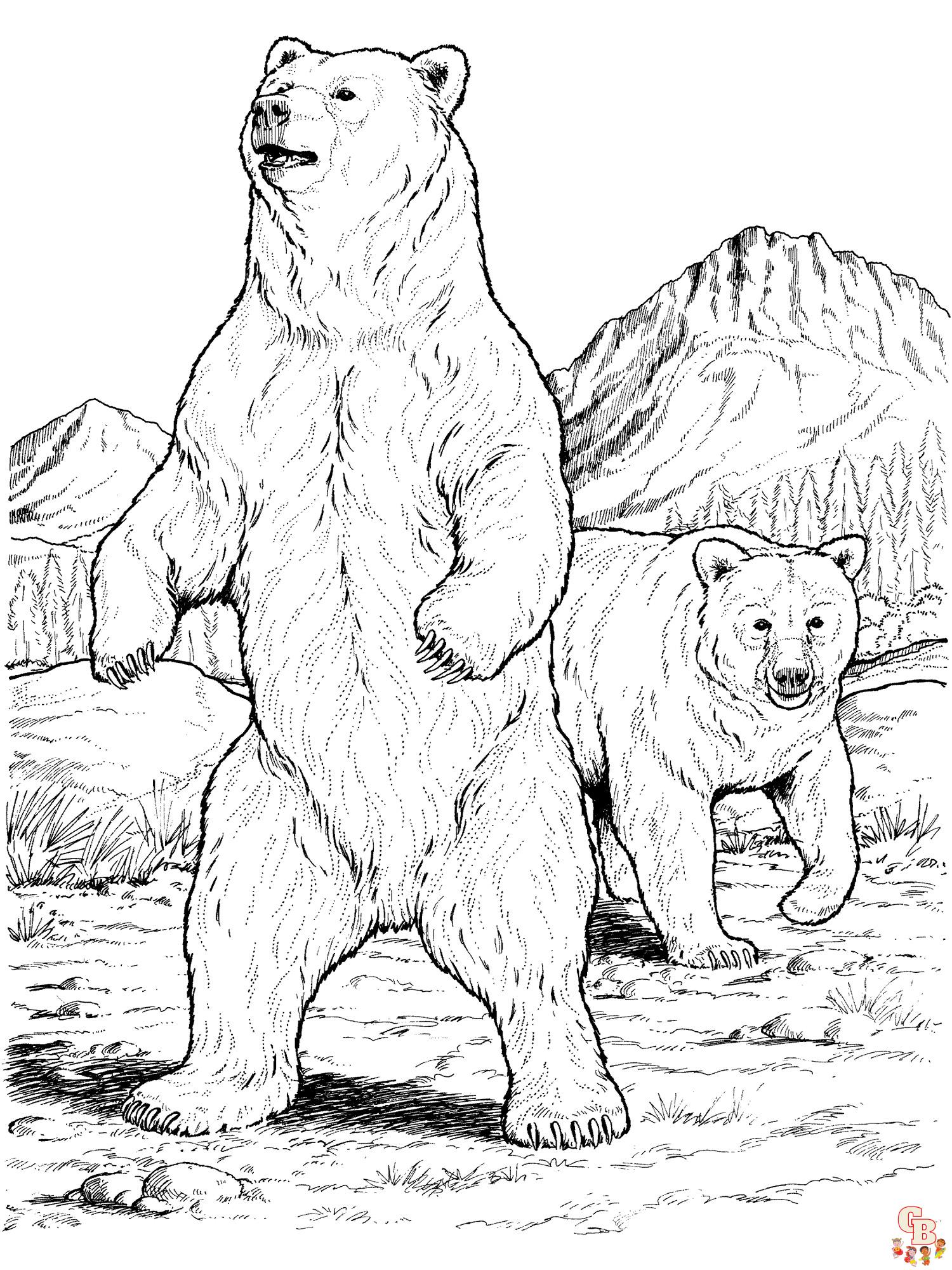 Black Bear Coloring Pages 14