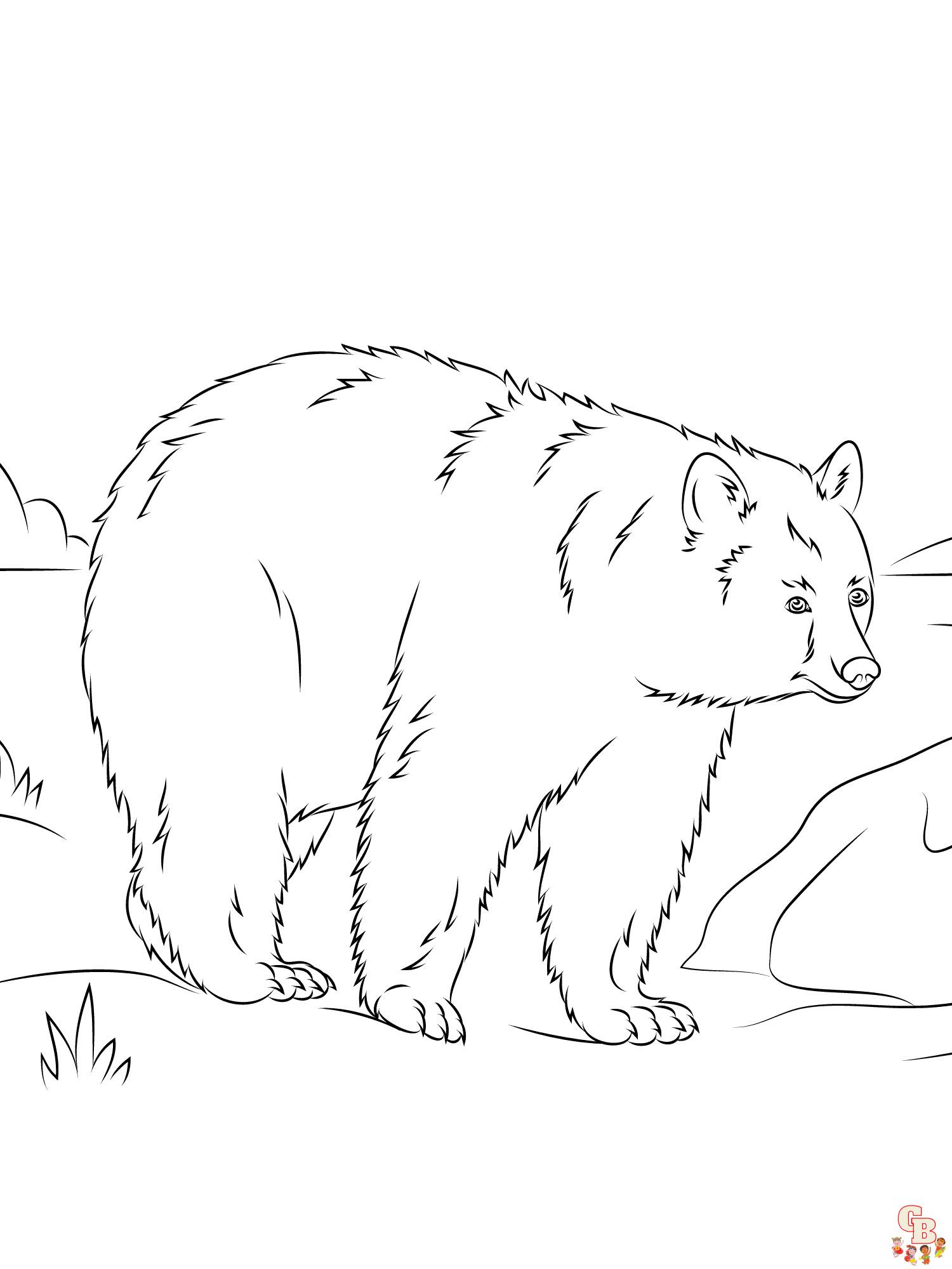 Black Bear Coloring Pages 6 1