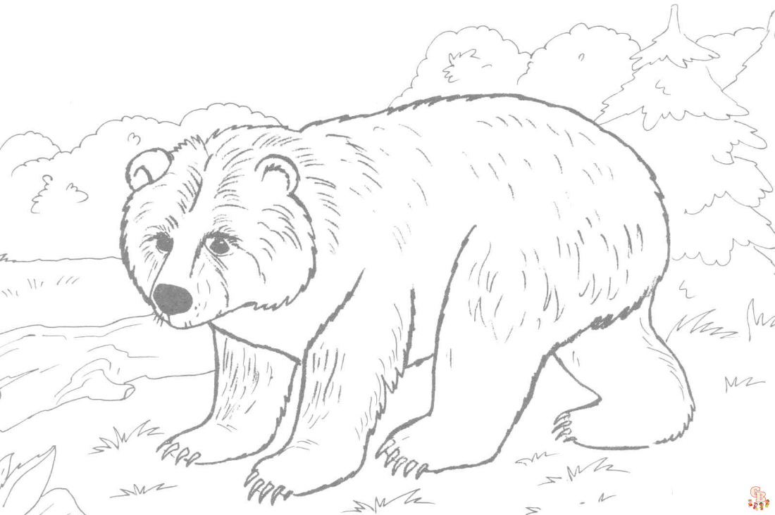 Brown Bear Coloring Pages 2