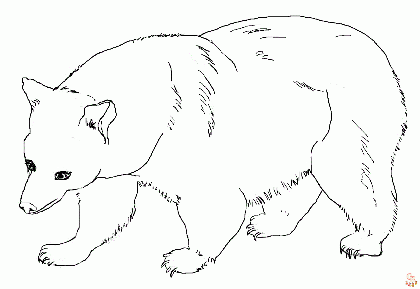 Brown Bear Coloring Pages 3