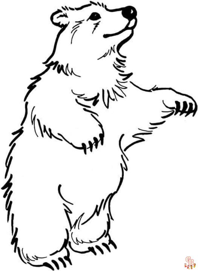 Brown Bear Coloring Pages 6