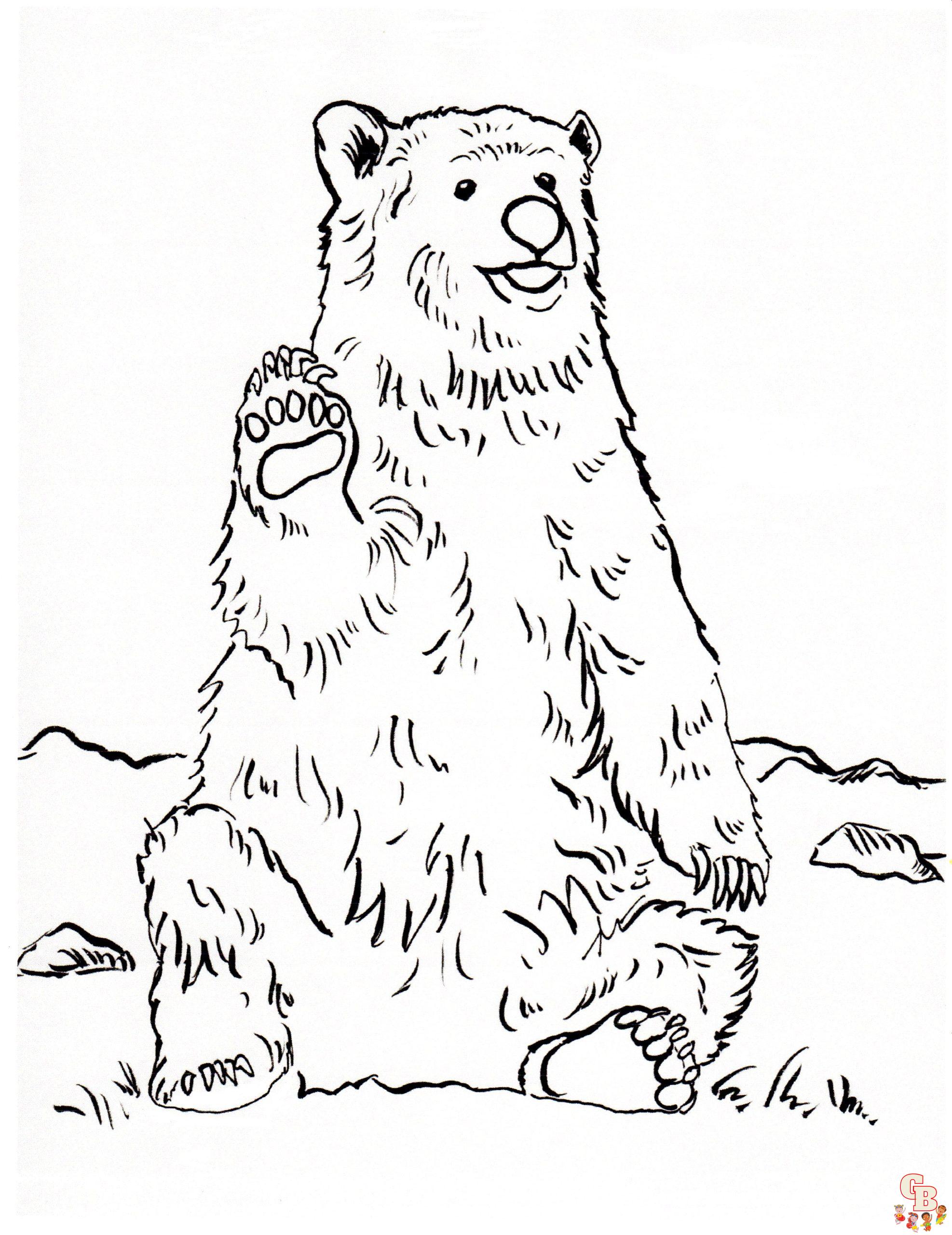 Brown Bear Coloring Pages 7