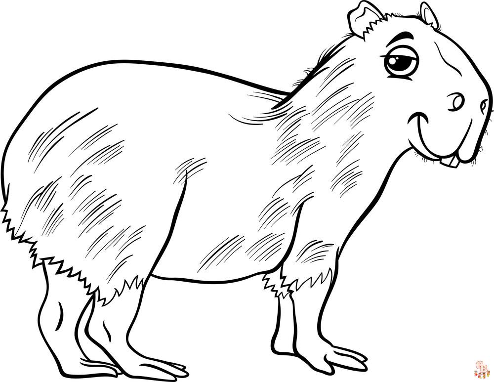 Capybara Coloring Pages 10