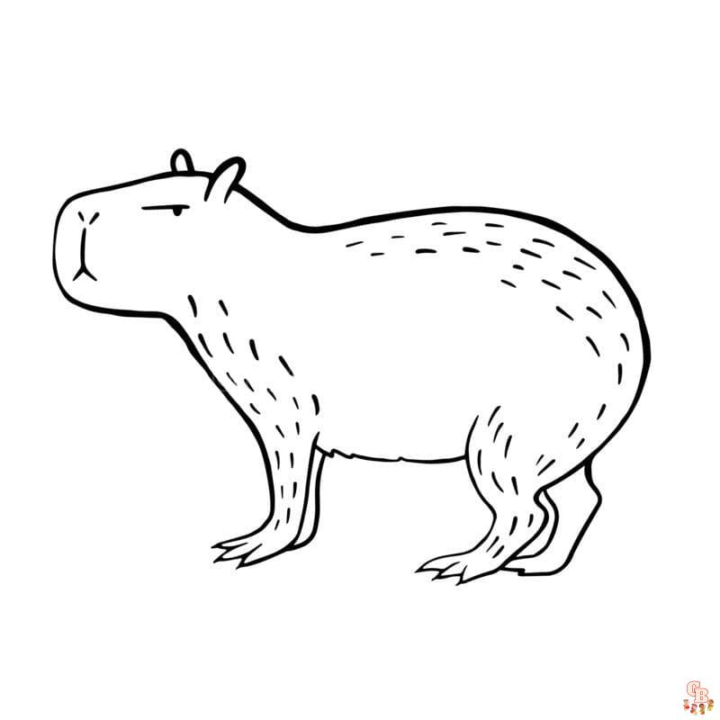 Capybara Coloring Pages 5