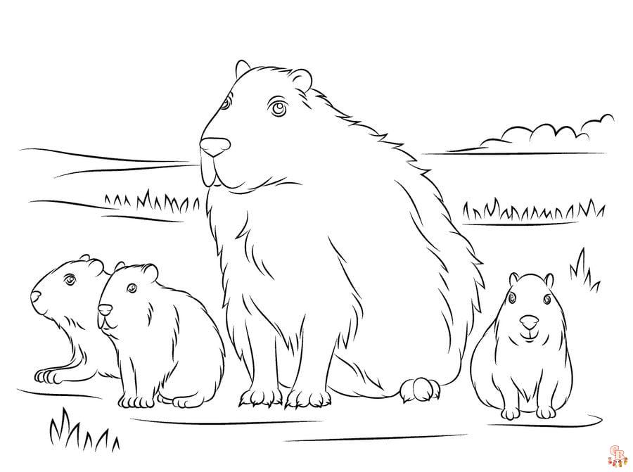 Capybara Coloring Pages 6