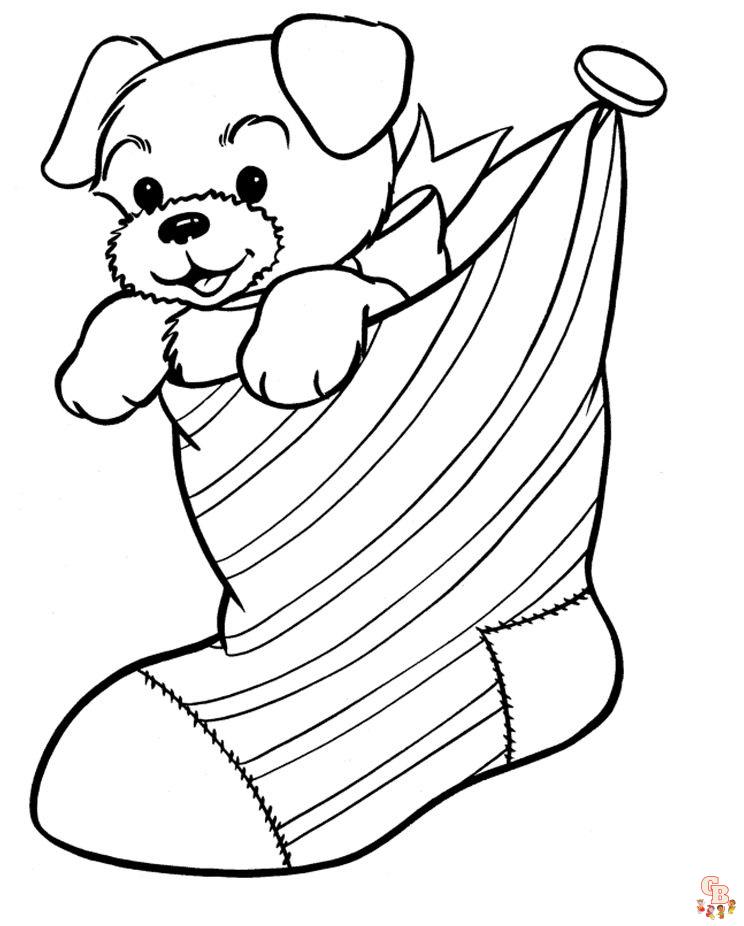 Dog In A Sock Coloring Pages 2