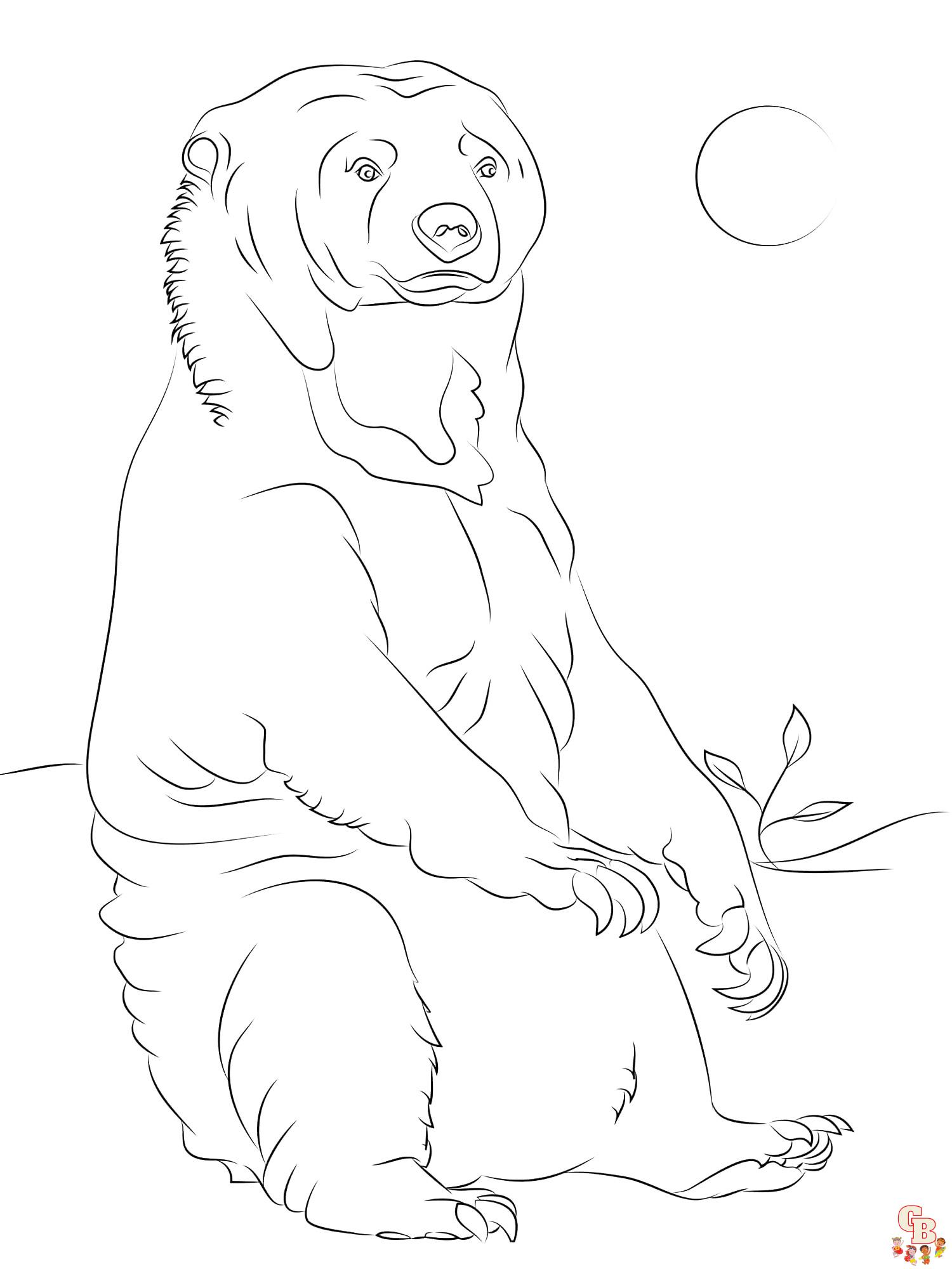 Sun Bear Coloring Pages 2