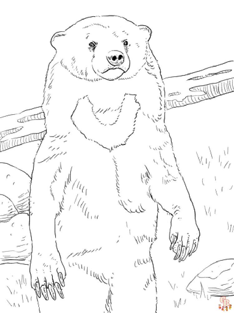 Sun Bear Coloring Pages 7