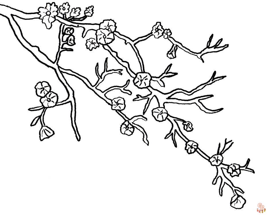 Cherry Blossom Coloring Pages 1