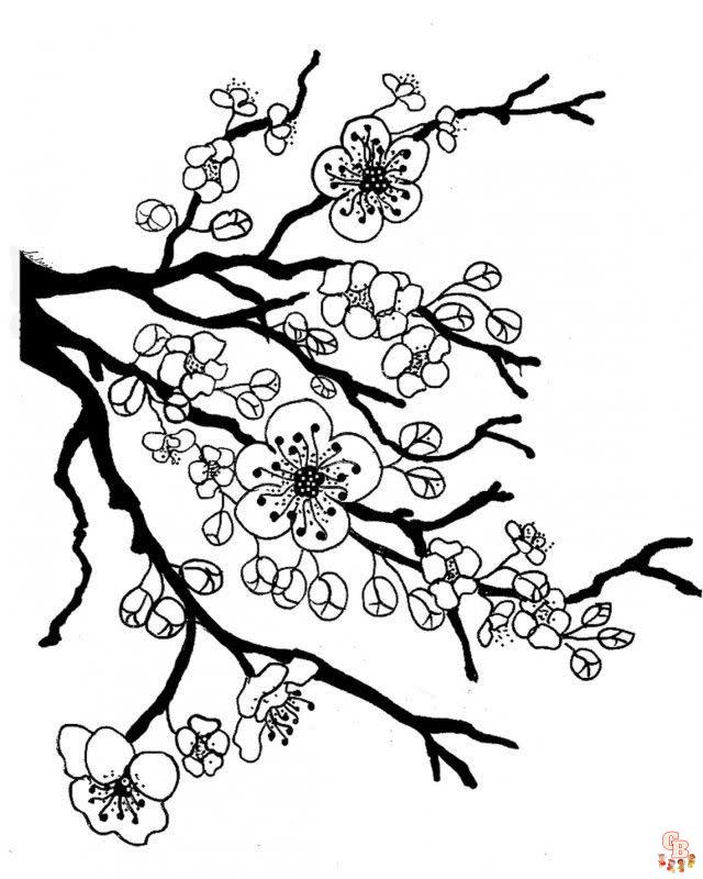 Cherry Blossom Coloring Pages 2