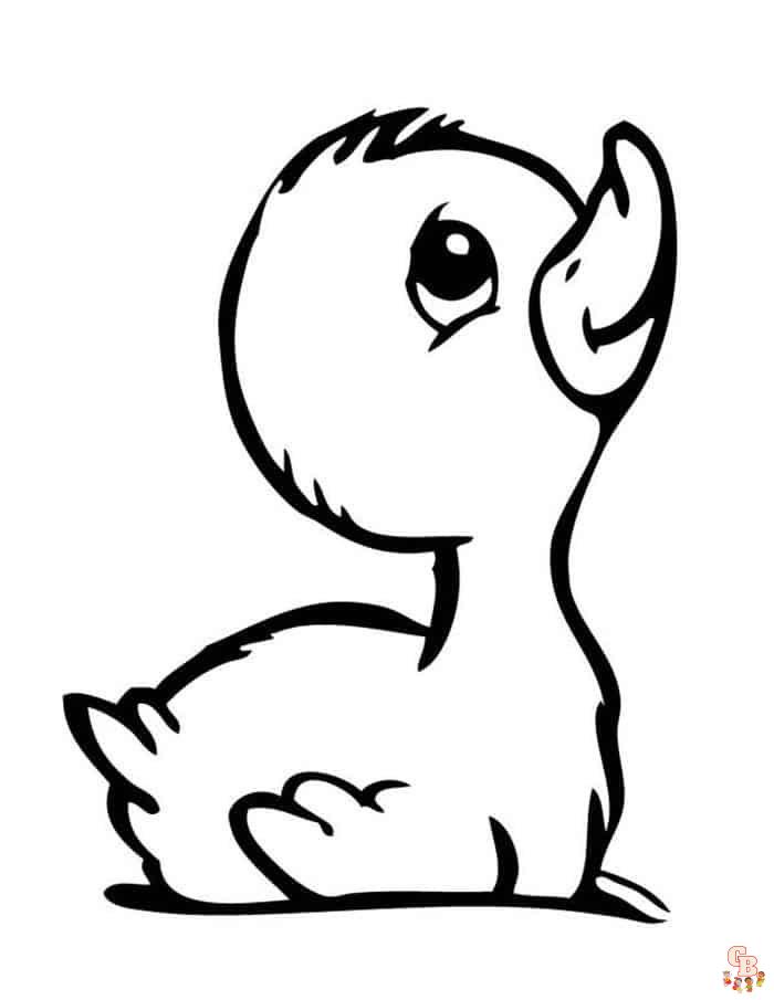 Cute Baby Duck coloring pages easy