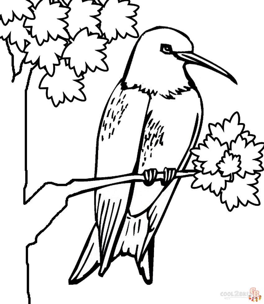 Free Hummingbird coloring pages for kids