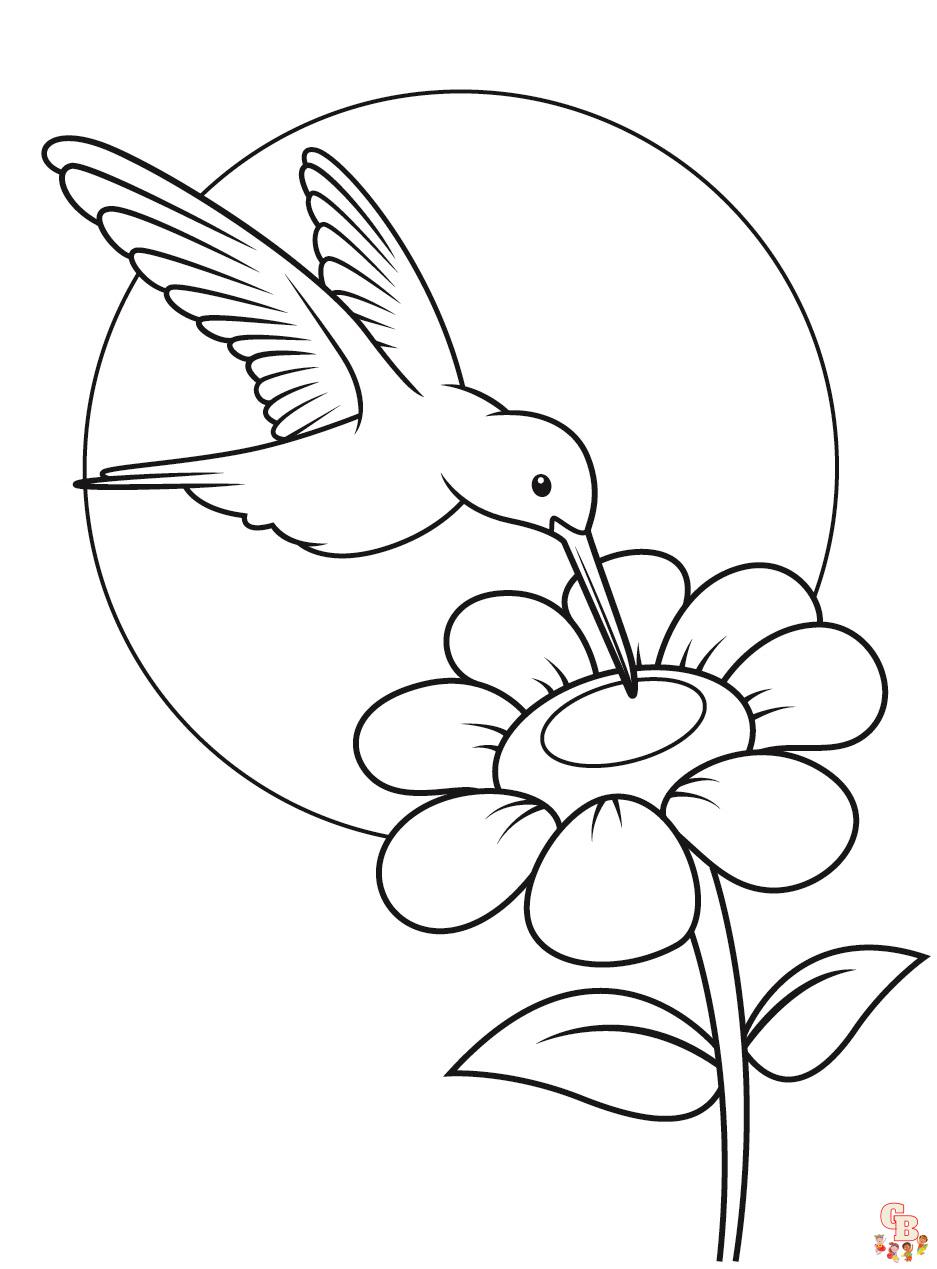 Hummingbird coloring pages 2