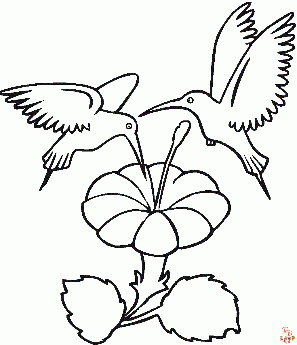 Hummingbird coloring pages easy