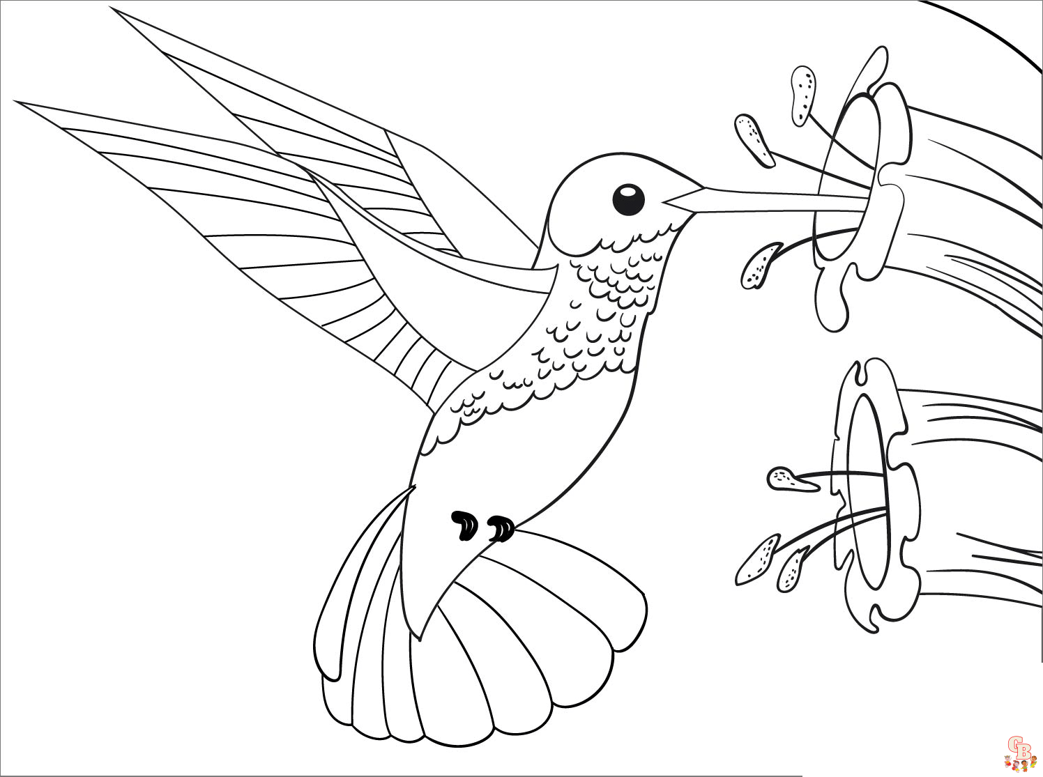 Hummingbird coloring pages printable 1