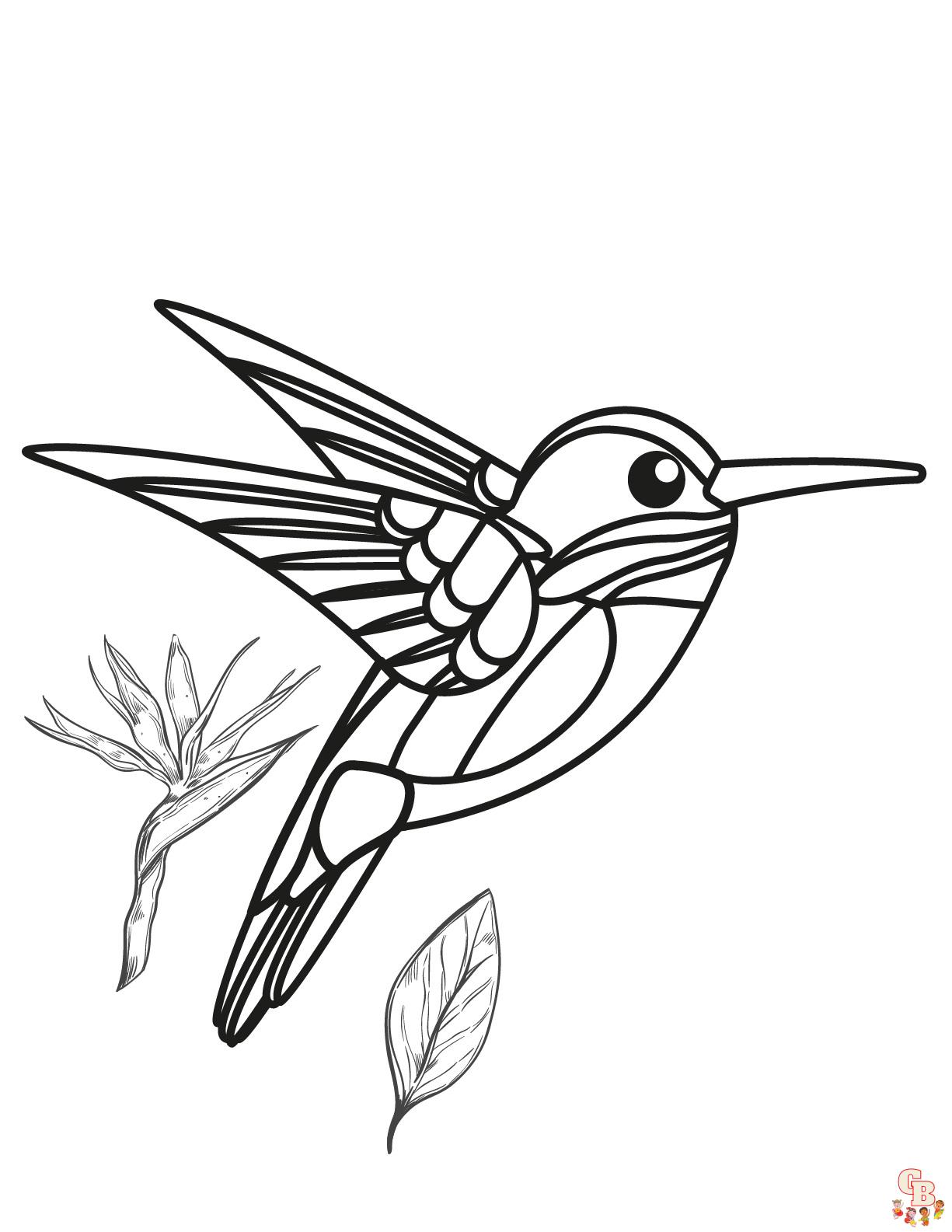 Hummingbird coloring pages printable free 1