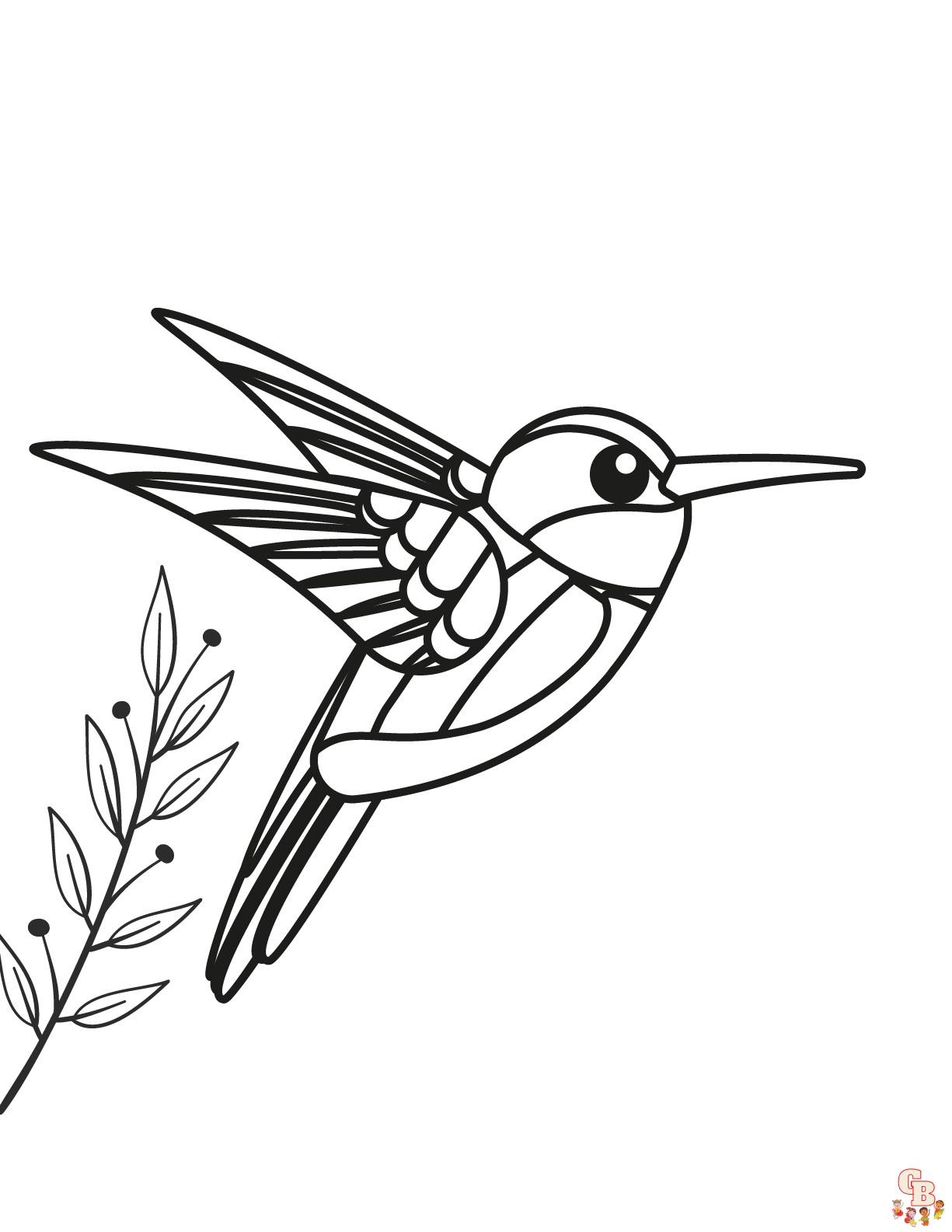 Hummingbird coloring pages to print 1