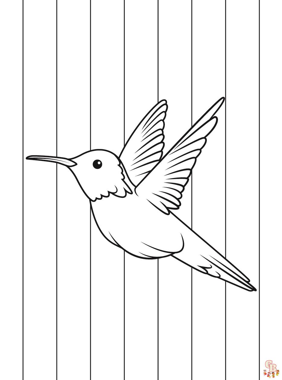 Hummingbird coloring pages