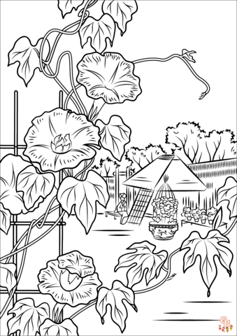 Morning Glory Coloring Pages 3