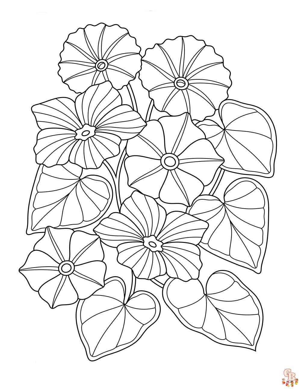 Morning Glory Coloring Pages 4