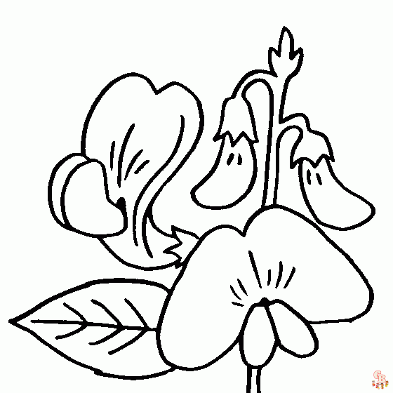 Sweet Pea Coloring Pages for kids 1