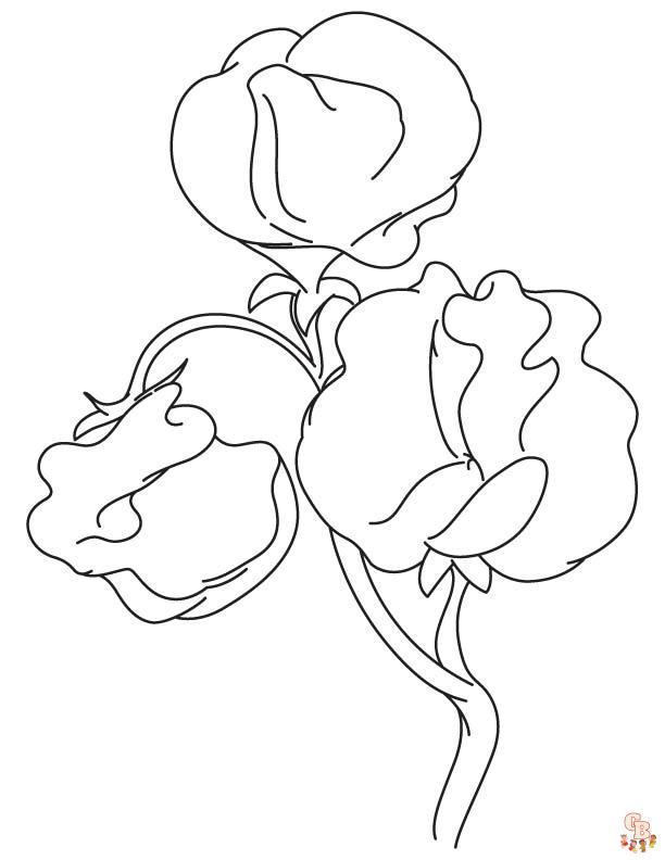 Sweet Pea Coloring Pages for kids 1