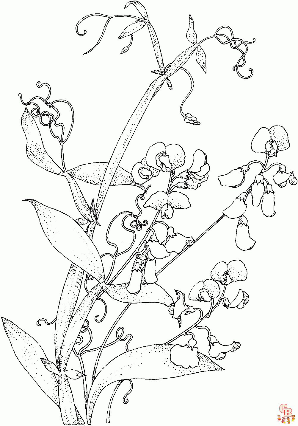 Sweet Pea Coloring Pages for kids 2