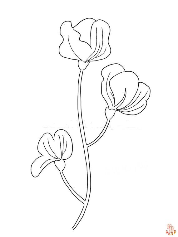 Sweet Pea Coloring Pages printable 1