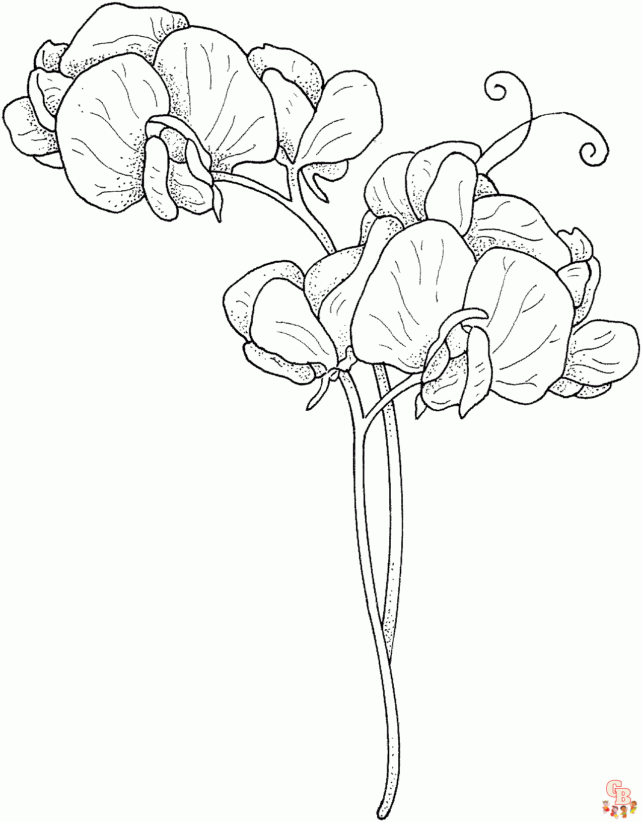 Sweet Pea Coloring Pages printable 2