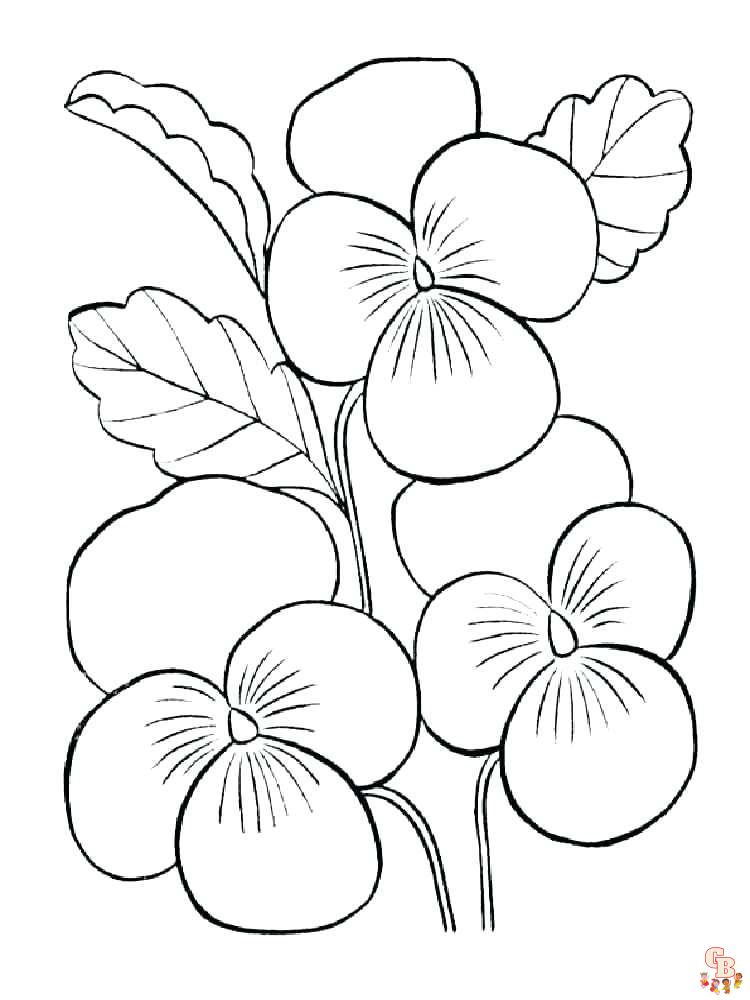 Violet coloring pages04