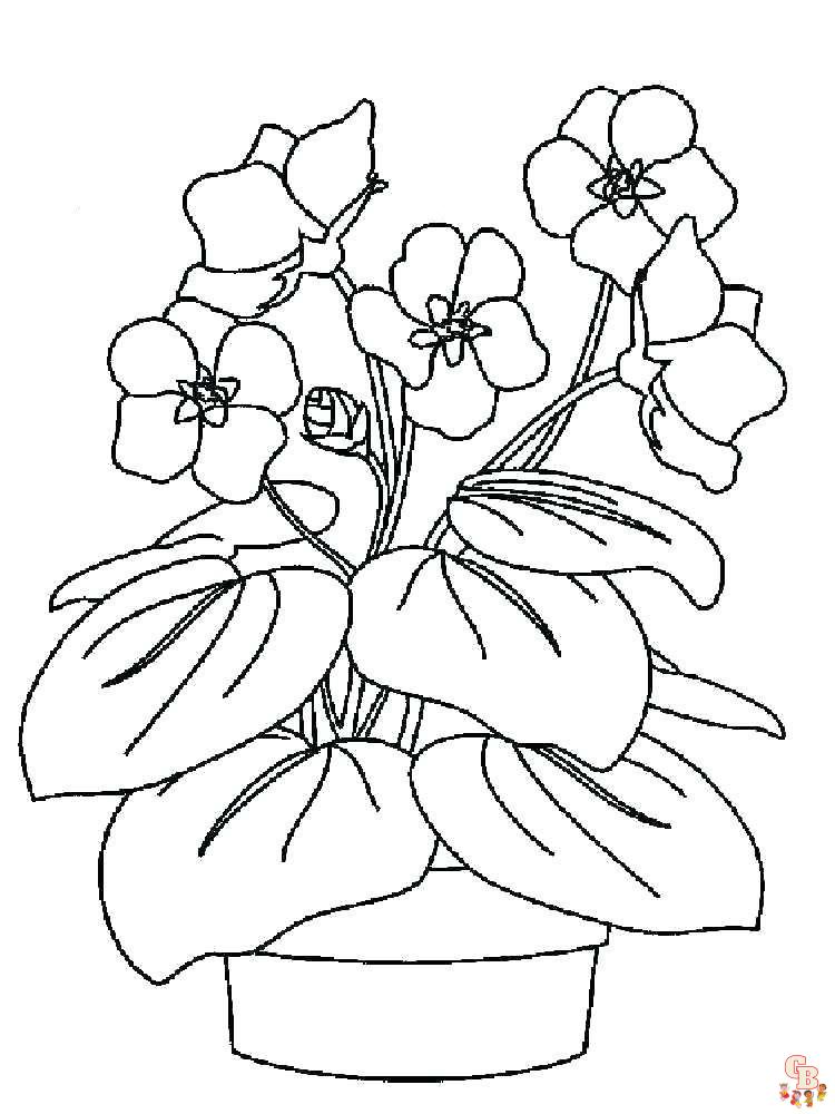 Violet coloring pages05