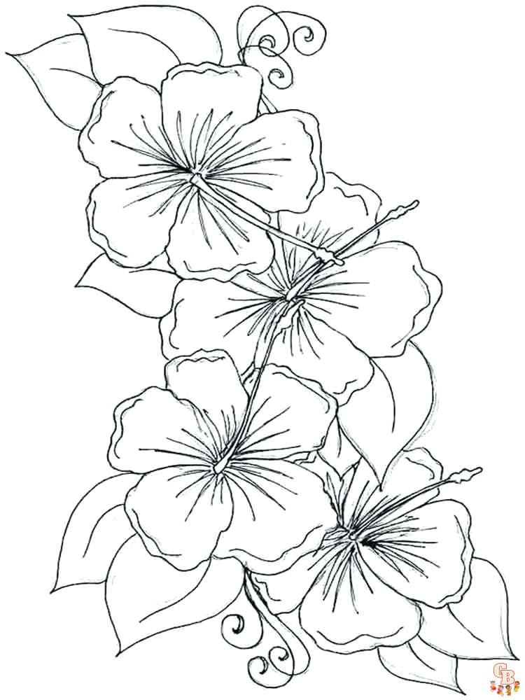 Violet coloring pages07