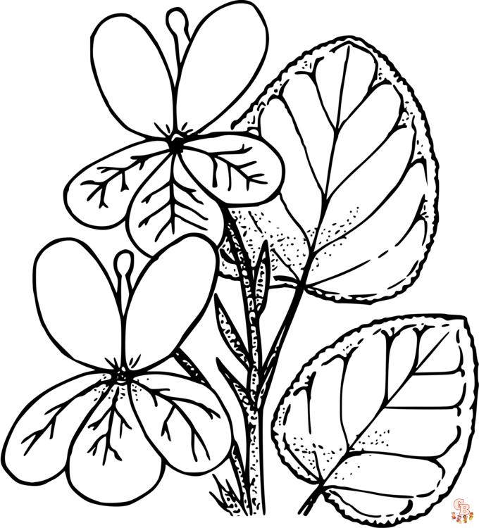 Violet coloring pages12