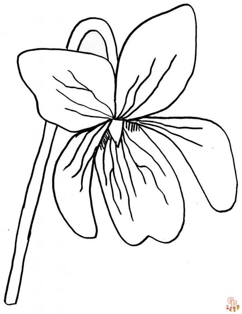 Violet coloring pages13