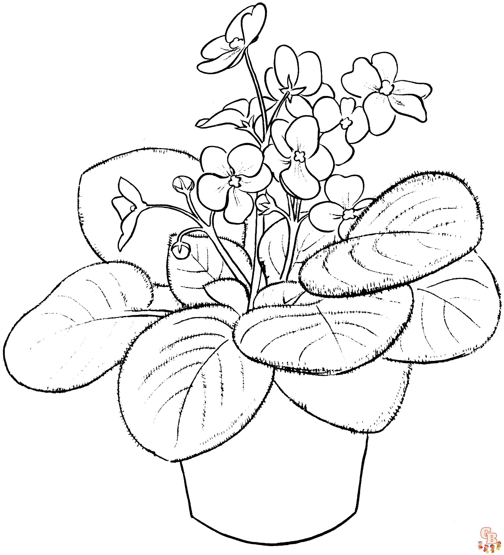 Violet coloring pages14