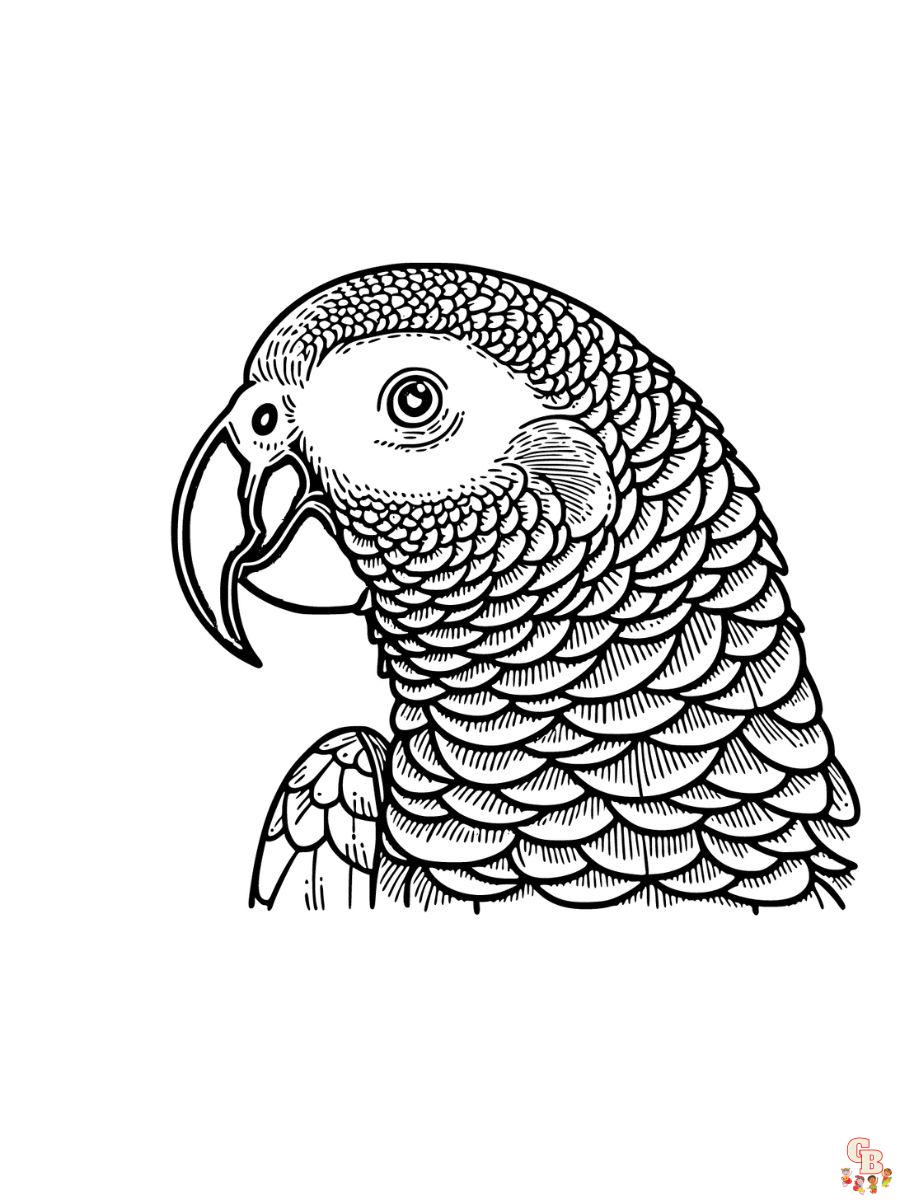 African Grey Coloring Page