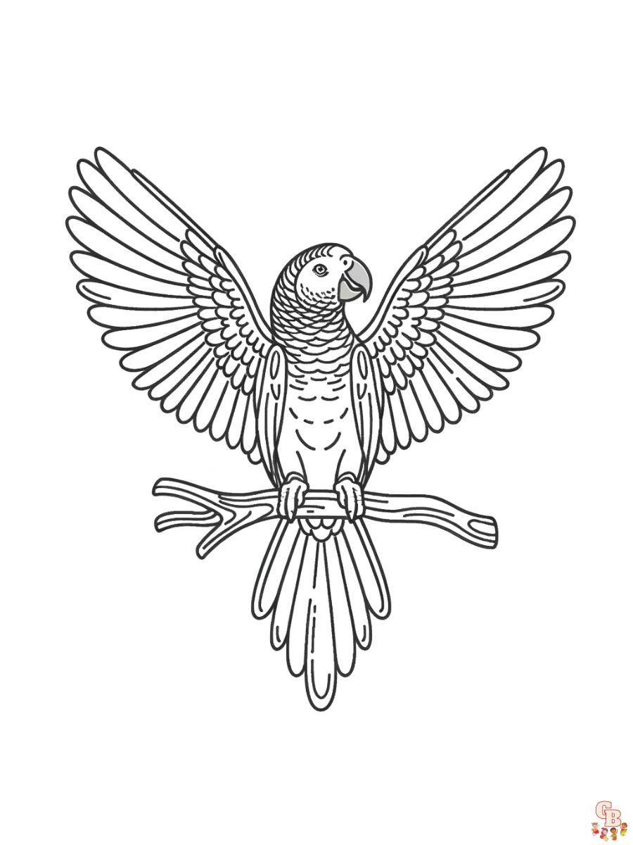 African Grey Coloring Pages free