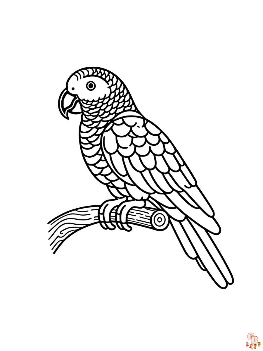 African Grey Coloring Pages printable