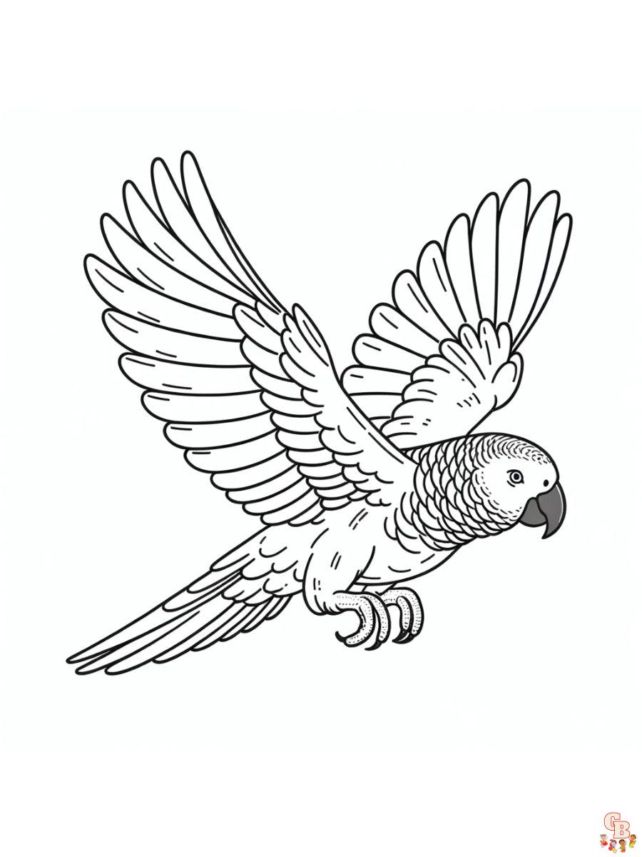 African Grey Coloring Pages to print