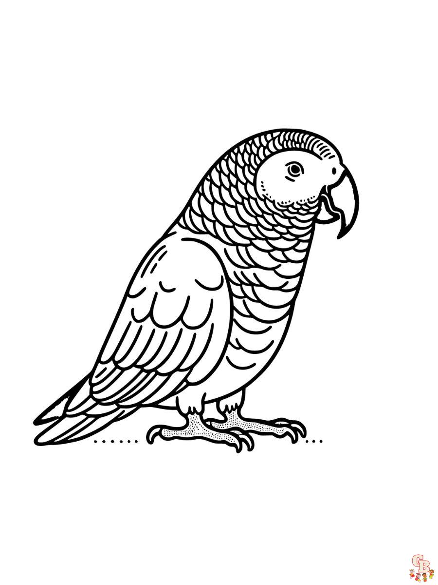 African Grey Coloring Pages