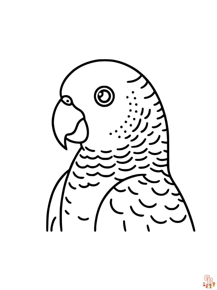 Amazon Parrots Coloring Page