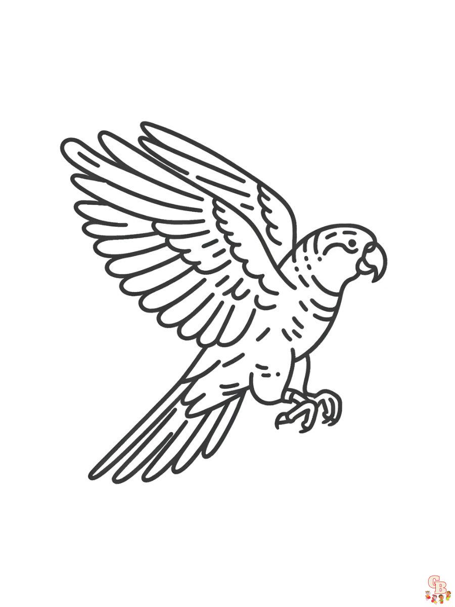 Amazon Parrots Coloring Pages easy