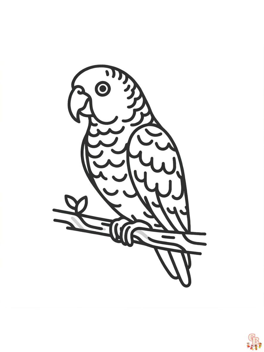 Amazon Parrots Coloring Pages free