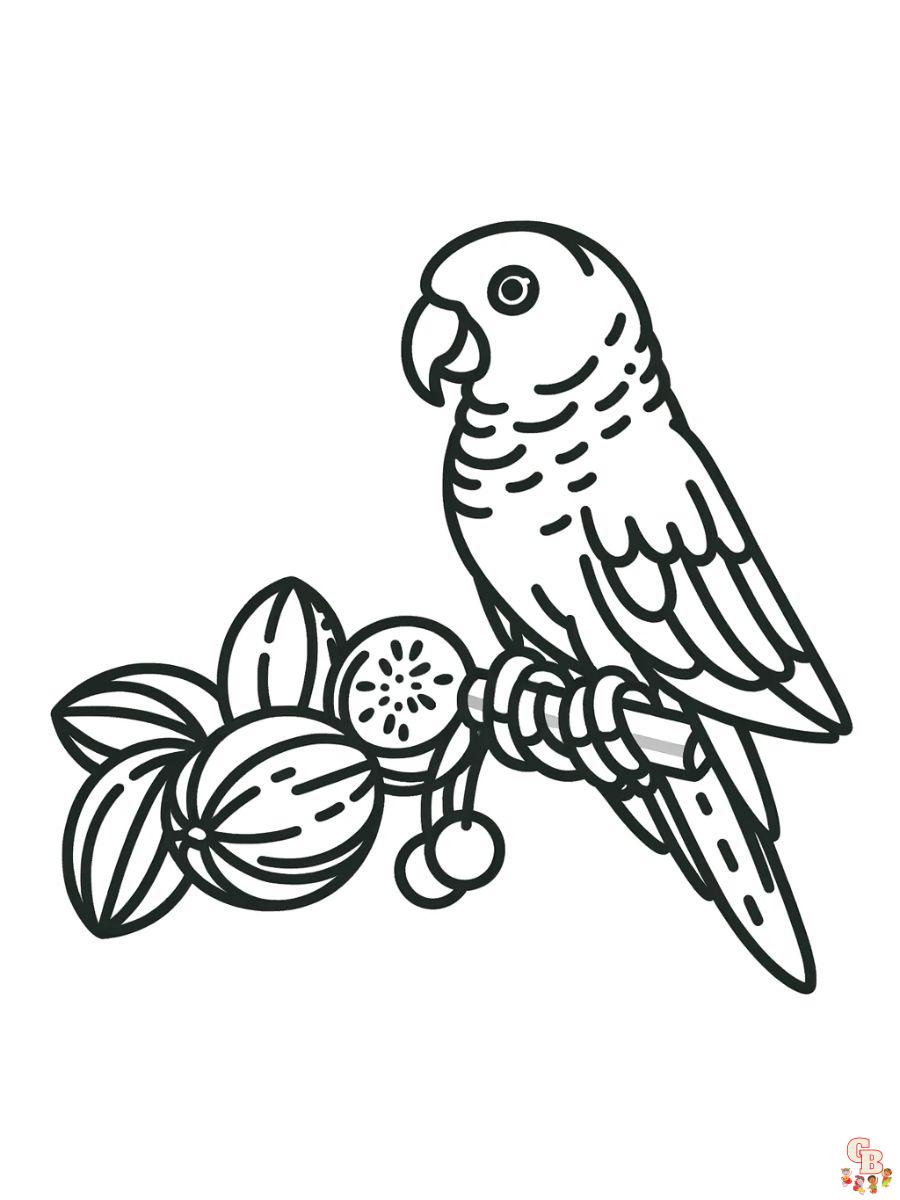 Amazon Parrots Coloring Pages printable