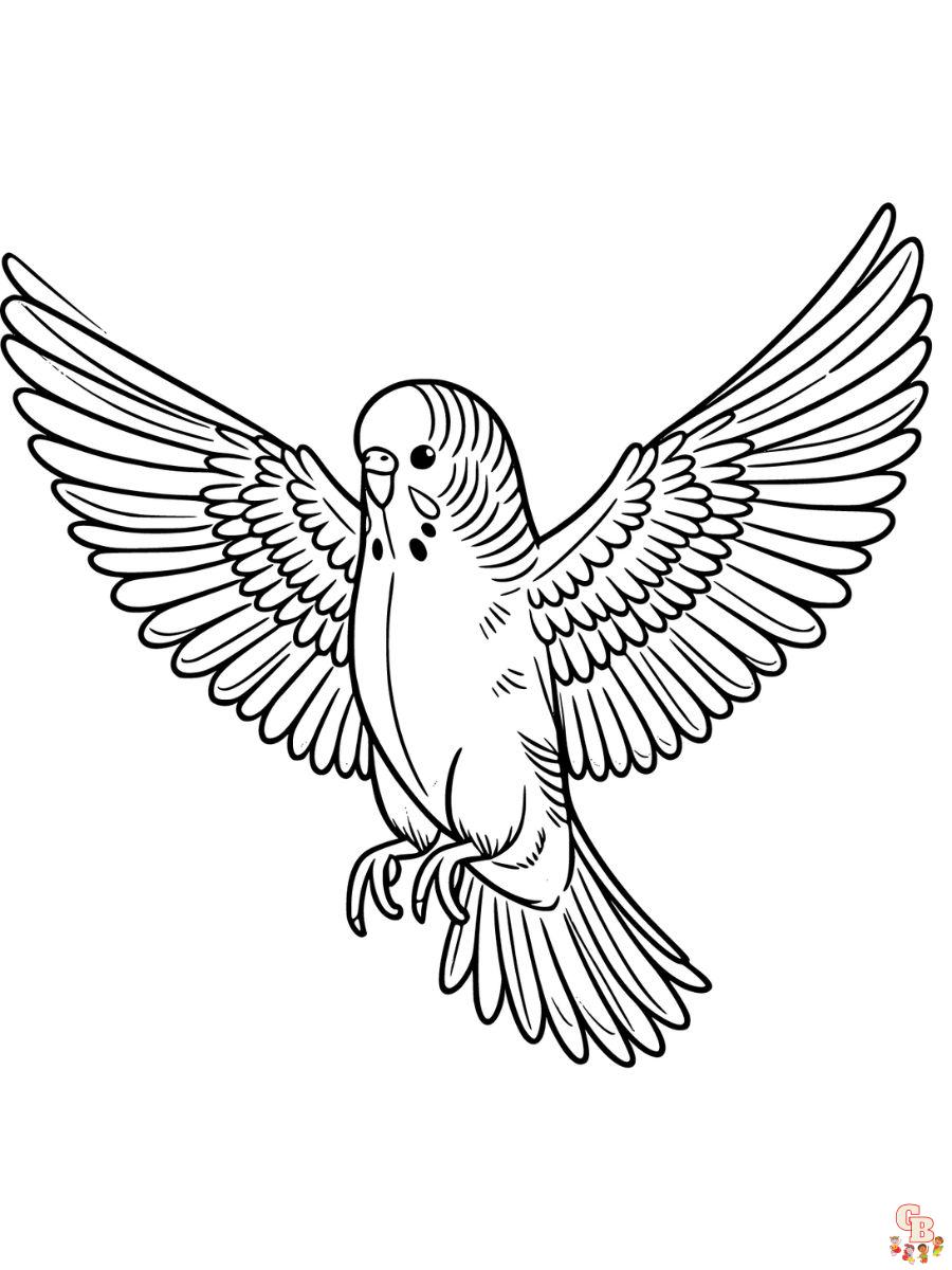 Budgies Coloring Pages