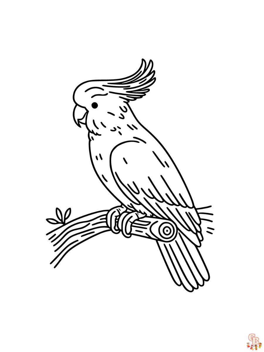 Cockatoo Coloring Page