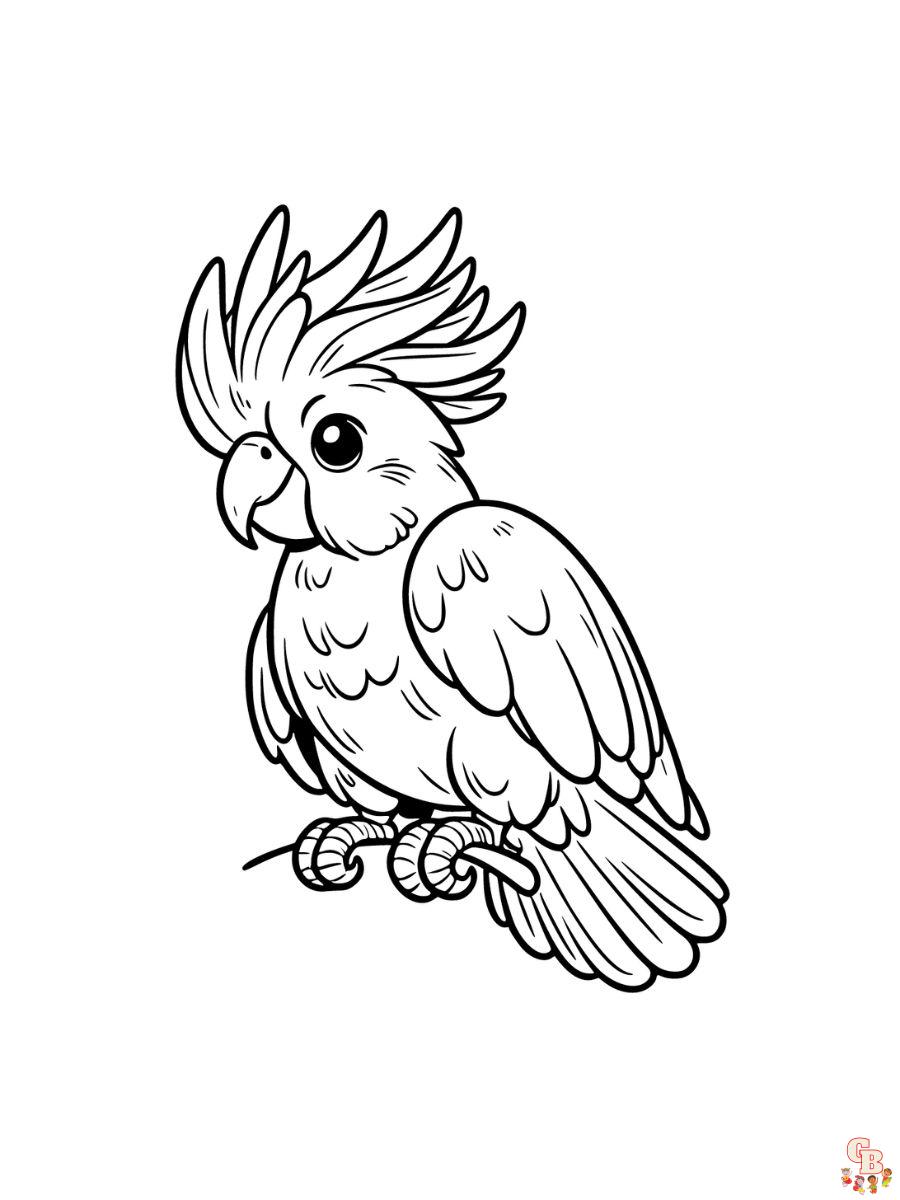 Cockatoo Coloring Pages printable