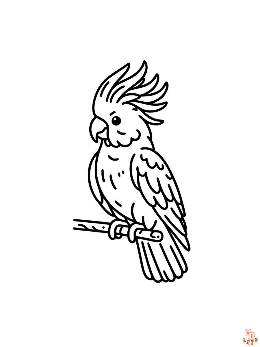 Cockatoo Coloring Pages